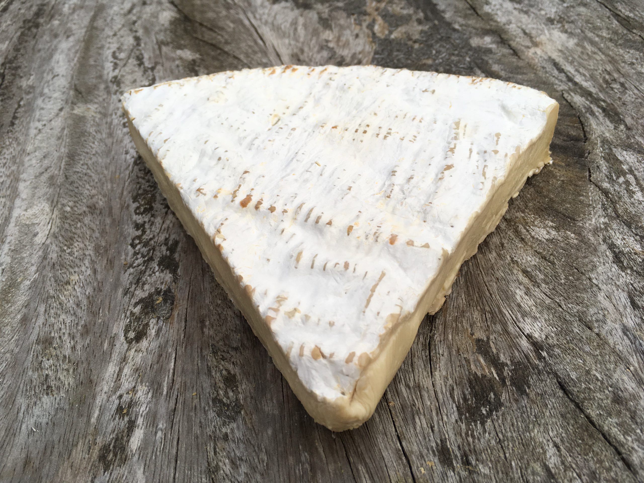 Brie de Meaux Cheese