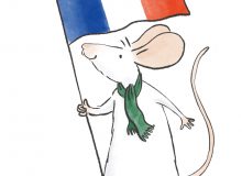 French Cheese Selection