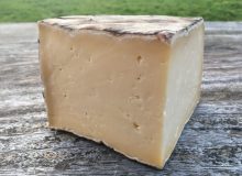 Single Gloucester Cheese